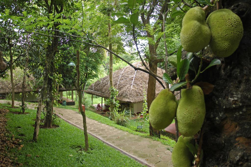 Spice Village Thekkady - A Cgh Earth Experience Kültér fotó
