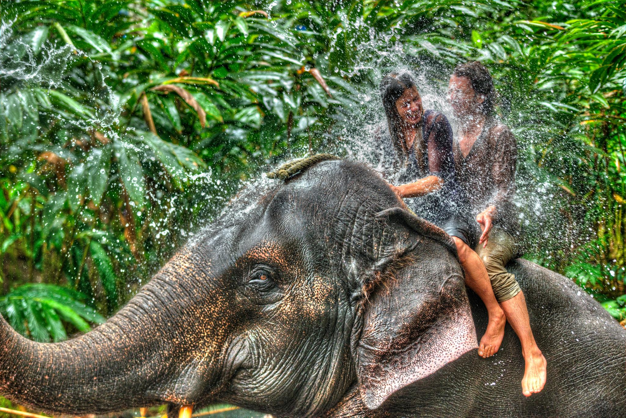 Spice Village Thekkady - A Cgh Earth Experience Kültér fotó